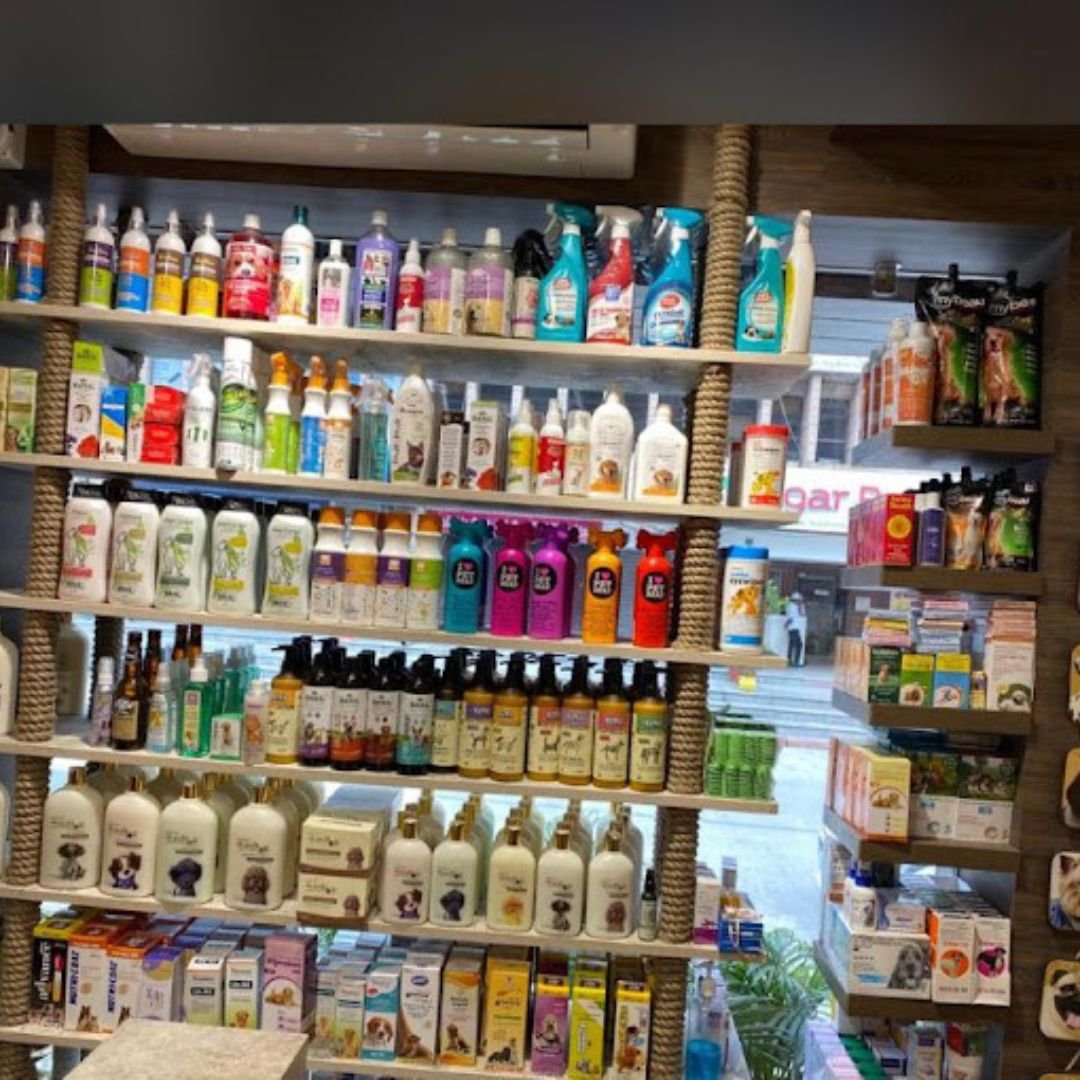 Dogs n Cats The Pet Shop