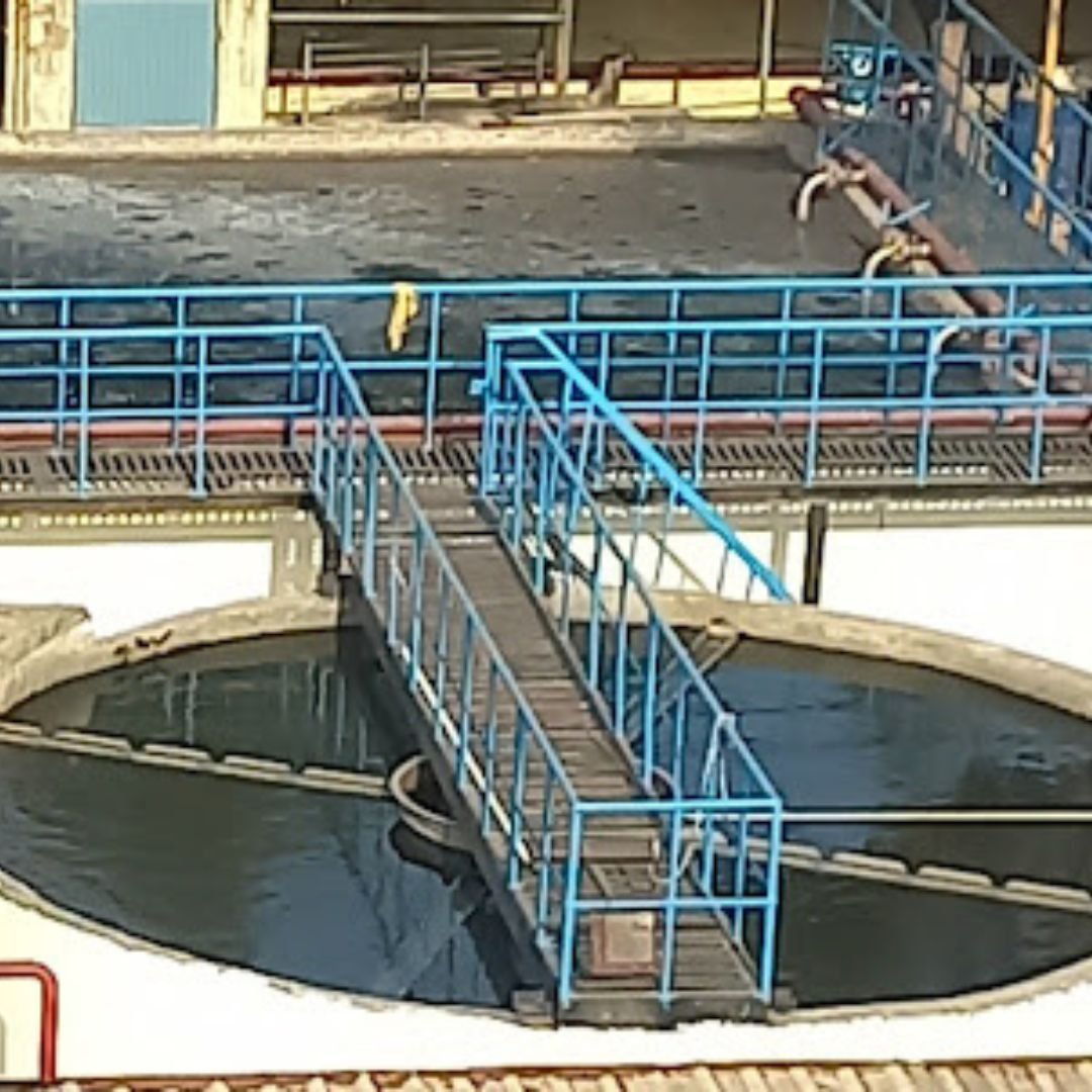 Mrs Bector Food Specialities Ltd