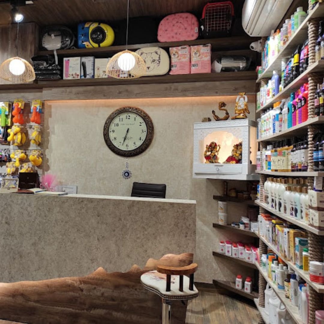 Dogs n Cats The Pet Shop