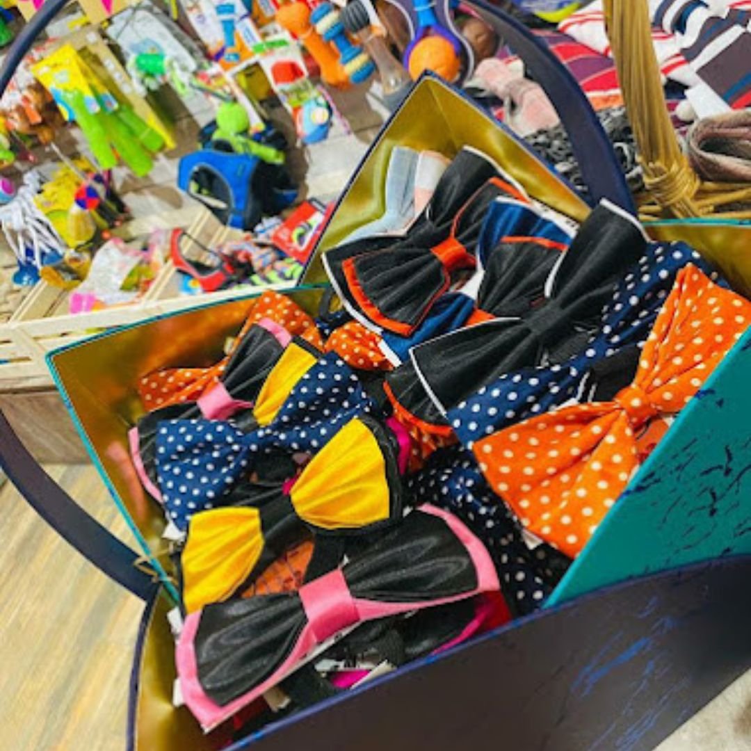 Dogs n Cats The Pet Shop