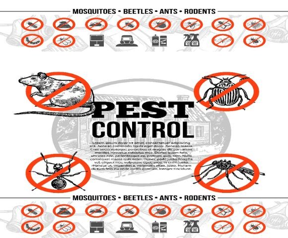 High Secure Pest Control Services