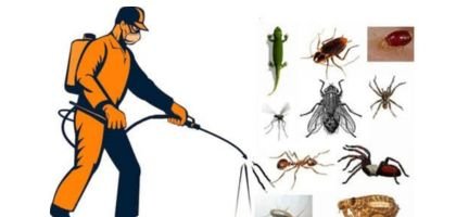 Pest Control Services